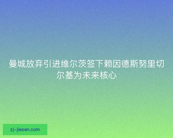 曼城放弃引进维尔茨签下赖因德斯努里切尔基为未来核心